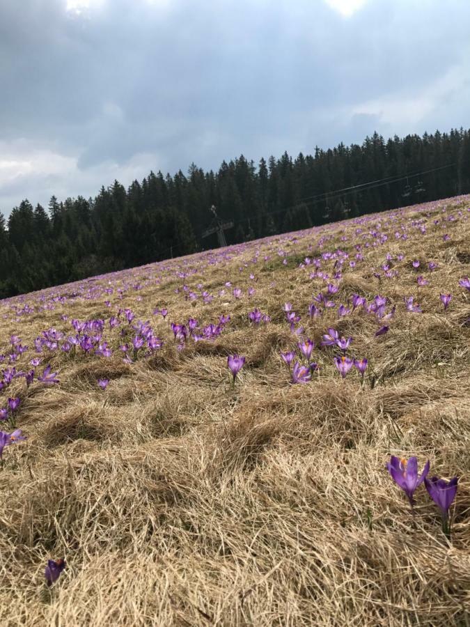 Panorama Donovaly 34-B Apartman Kültér fotó